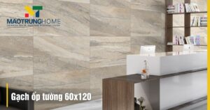 Gạch ốp 60x120