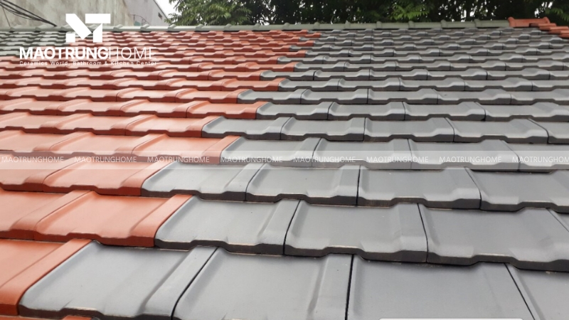 Khả năng thích ứng với khí hậu Việt Nam