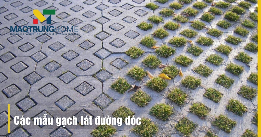Các mẫu gạch lát đường dóc