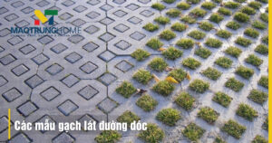 Các mẫu gạch lát đường dóc