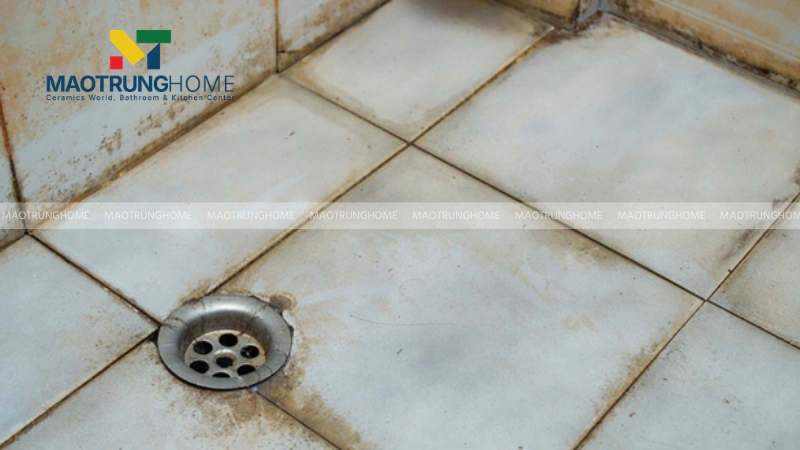 Phân loại bề mặt gạch trước khi tiến hành tẩy rửa