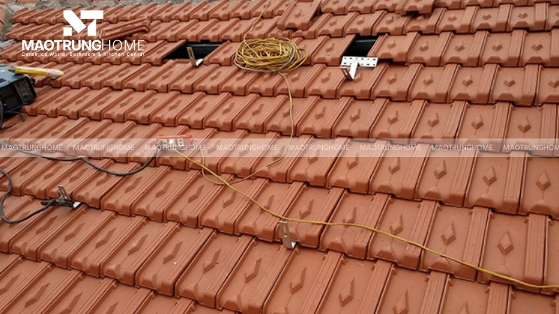Mẫu ngói đất nung truyền thống