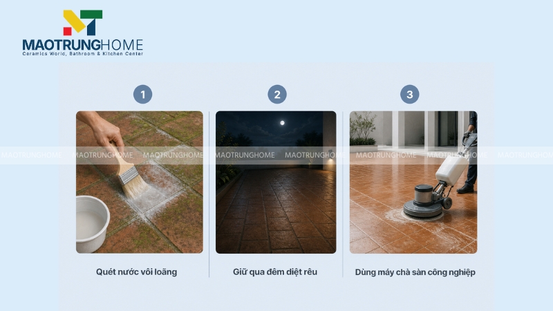 Các bước tẩy rêu mốc trên gạch tàu sân vườn vào mùa mưa