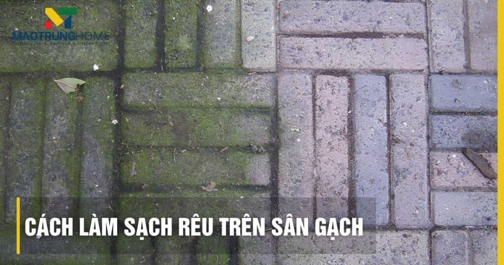 Cách làm sạch rêu trên sân gạch an toàn, sạch bong như mới