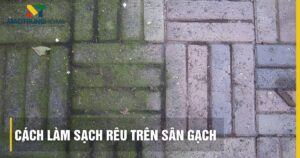 Cách làm sạch rêu trên sân gạch an toàn, sạch bong như mới