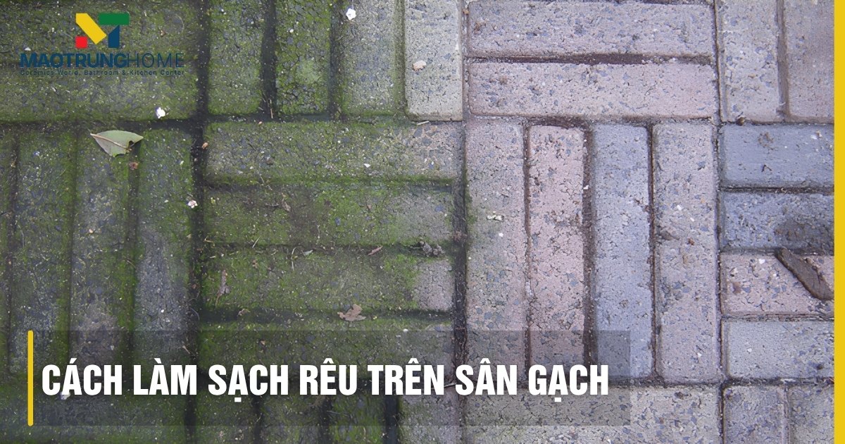 Cách làm sạch rêu trên sân gạch an toàn, sạch bong như mới