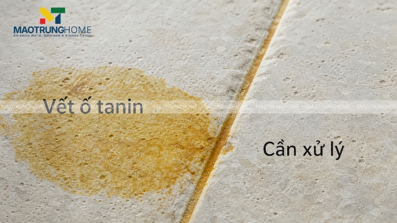 Bề mặt gạch men bị ố vàng do nước chè thấm lâu ngày