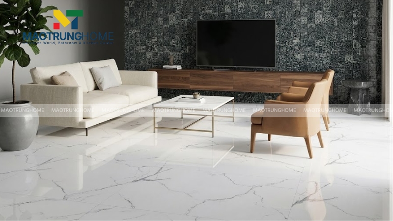Mẫu gạch 60x60 Viglacera vân đá (Mẫu 9)