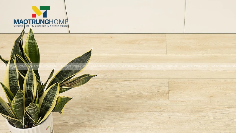 Mẫu tone óc chó sáng (Mẫu 4)